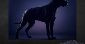 Arizona Dog Bite Laws: Strict Liability and What It Means for You